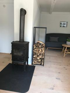 Dyreborg ved skov og havn - 3