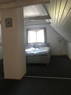 Dyreborg ved skov og havn - 1