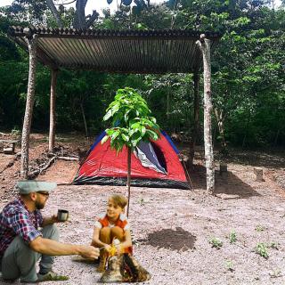Tent camping - 4