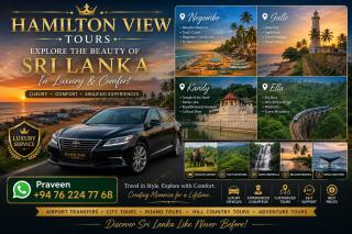 Hamilton View - 9