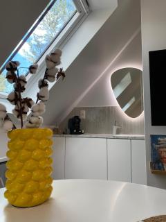 The Conservatory, a cosy private attic located central between Ghent Antwerp Brussels - Lokeren - 6