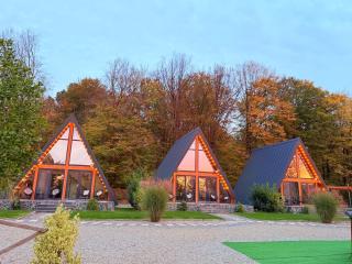 A-frame Marisa Vadu Crisului - 1