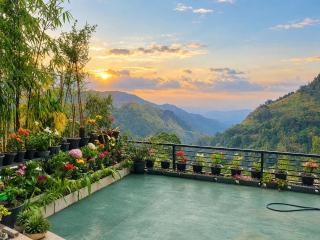 Ella HIDE VIEW - 9