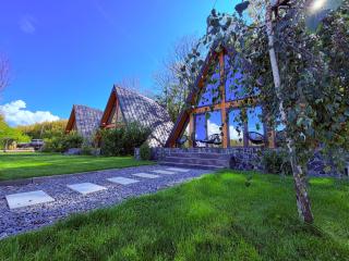A-frame Marisa Vadu Crisului - 2