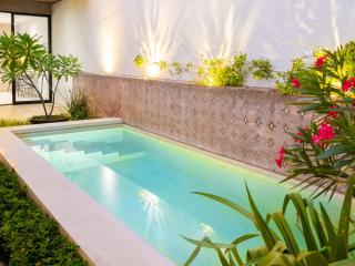 Private Pool Near Centro Montejo & Zoo 2BR - 6