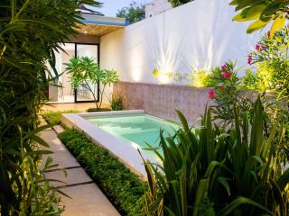 Private Pool Near Centro Montejo & Zoo 2BR - 2