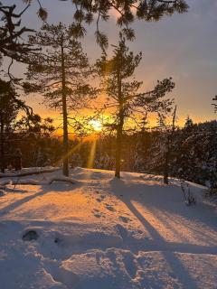 Talvijärven Helmi - 6