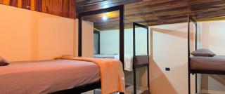 Wild FoRest hostel - 7