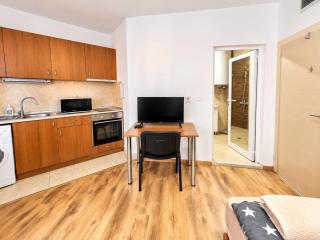 Studenski Modern Studio - 3