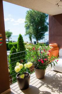 Balaton Lake Vintage - 9