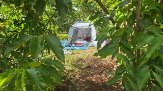 Risa Camping Site and Gardens - 9