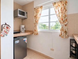 Apartamento Estudio en Alto Boquete - 4