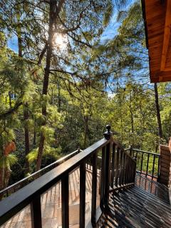 Chalet de montaña con vista al bosque - 1