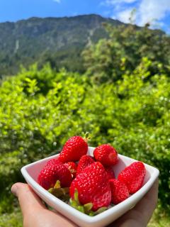 Glamping del Pirque - 6