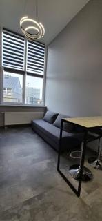 Modern Loft Apt in Vilnius Free airport pick up - 6