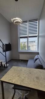 Modern Loft Apt in Vilnius Free airport pick up - 3