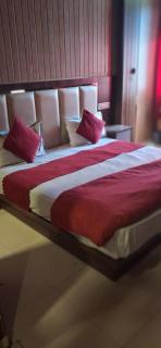 Hotel Dhanshree - 4