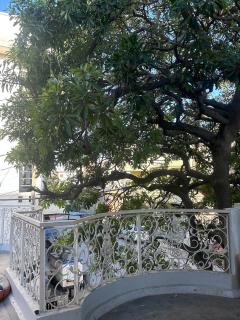 Hotel pine - 9