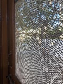 Hotel pine - 4