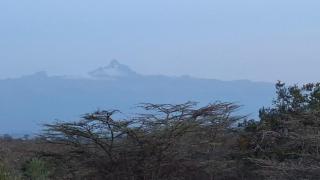 Ndege Mingi Bush Camp - Laikipia - 6