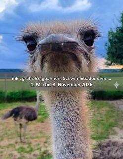 Blickfang Bregenzerwald - 0