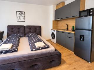 Monarch Luxury Stay - 2