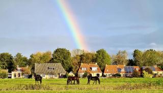 Húns 16 Friese arbeiderswoning uit 1842 - 6