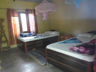 Homestay Tharu Khajaghar - 2