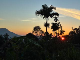 Visari Nature Lodge, Ella - 8