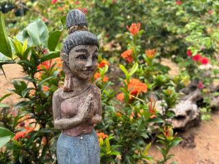 Visari Nature Lodge, Ella - 6