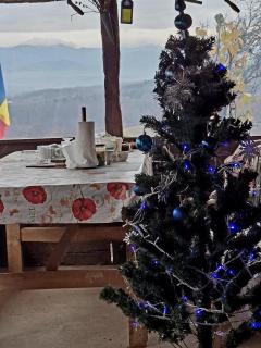 Casa Ciprian - 1