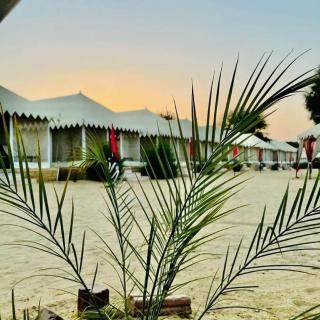 Desert Galaxy Camp - A Family Luxury Camp - 1