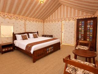 Desert cactus camp Jaisalmer - 4