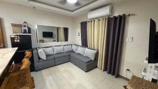 Family House with Loft type Penthouse - 8