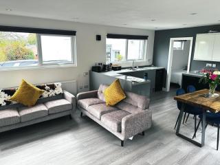 Cabin - Luxury 2 bedroom modern cabin - 1