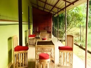 Bastar Jungle Resort - 8