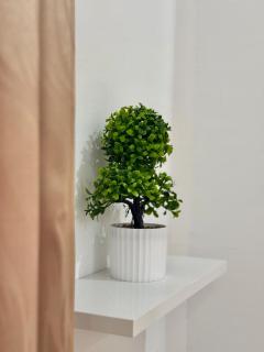 Appartement moderne 2 pièces palmeraie - 8