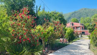 Villa Valia Seaside - Ipsos - 3