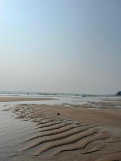 Vitamin Sea Escape Agonda - 5