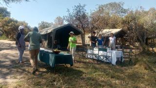 Unfold Africa Safaris - 7