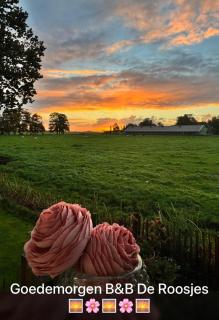 B&B bij de Roosjes, Overijssel bij Giethoorn met vers streekontbijt - 1