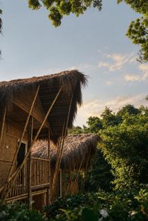 Bagicha Stays, Kaziranga - 3