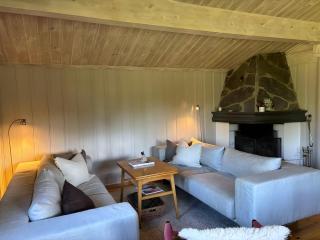 Cozy and undisturbed mountain cabin near alpine and ski slopes - 6