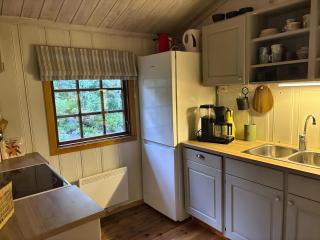 Cozy and undisturbed mountain cabin near alpine and ski slopes - 3