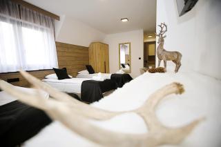 SkiPoint Apartamenty z widokiem na Tatry - 4