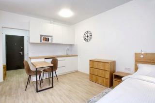 1-room Apartment, Center - 4
