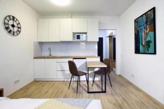 1-room Apartment, Center - 2