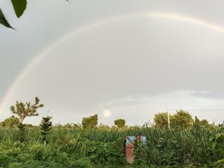 Churi Farm Stay - 5
