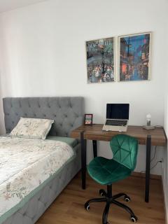 Modern 2kk with Large Balcony & Workspace Zizkov Prague 3 - 4