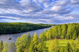 Sjönära hus, bastu, egen båt, 75 m till badplats - 8